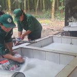 Phát động thi đua nước rút 4 tháng cuối năm