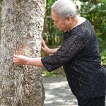 Truyền thống - Mạch ngầm chảy mãi