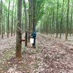 Các đơn vị tại Lào phải chủ động khắc phục khó khăn, thực hiện tốt nhiệm vụ năm 2022