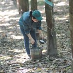 Công ty CP cao su Tây Ninh: Tập huấn phương pháp sản xuất tinh gọn - Lean