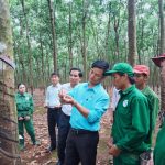 Cao su Phú Riềng hoàn thành xuất sắc mọi nhiệm vụ