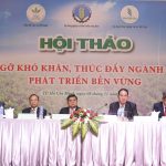 Kiến nghị Bộ ngành hỗ trợ 4 chính sách tháo gỡ khó khăn cho ngành cao su