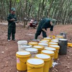 Mùa thi đua nước rút của tổ 3 tấn