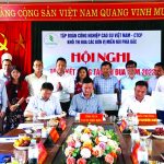 Các đơn vị miền núi phía Bắc: Hoạt động sản xuất kinh doanh dần ổn định