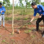 Tuổi trẻ VRG thực hiện nhiều công trình mừng thành công Đại hội Đoàn toàn quốc
