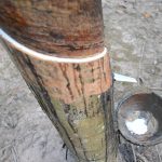 Nghĩa đất – Tình người