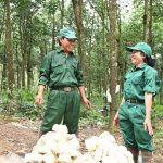 Bà con Việt kiều tại Biển Hồ: Ổn định cuộc sống khi về với cao su