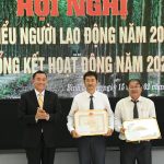 Viện Nghiên cứu Cao su tiếp tục đẩy mạnh chuyển giao kỹ thuật gắn với hiệu quả kinh tế
