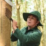 Cách tính tuổi nghỉ hưu năm 2023 người lao động cần biết