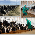 Hợp tác nông nghiệp Việt Nam - Lào phải bằng tư duy đi cùng nhau