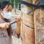 Đổi mới phương pháp đào tạo để nâng cao chất lượng phong trào “Luyện tay nghề - Thi thợ giỏi”