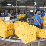 Chủ động các chính sách khi thị trường thay đổi
