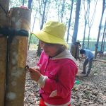Lạc quan trước mùa cạo mới