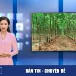 Bản tin -Chuyên đề số 1