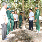 Giải pháp tăng năng suất lao động ở cao su Bà Rịa - Kampong Thom