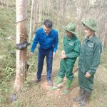 Điểm sáng cao su Điện Biên