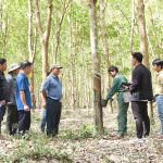 Tự tin, quyết tâm hoàn thành sản lượng
