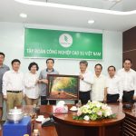 VRG và Sailun có nhiều cơ hội hợp tác