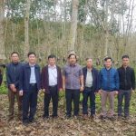 Cao su Hà Giang: Thành quả trên vùng đất khó