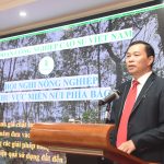 Xây dựng chặt chẽ chế độ cạo cho toàn chu kỳ vườn cây khai thác khu vực miền núi phía Bắc