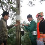 Xây dựng vùng cao su bền vững ở miền núi phía Bắc