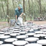 Vượt sản lượng khai thác để chăm lo tốt nhất cho người lao động