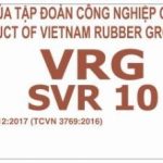 Quảng bá sản phẩm cao su thiên nhiên thương hiệu VRG trên thị trường quốc tế