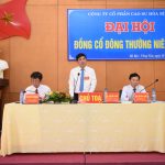Cao su Hòa Bình chia cổ tức 3%