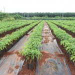 Bản tin chuyên đề số 3