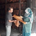 Cao su Bangladesh: Người trồng khó khăn vì giá giảm