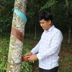 Kỹ sư trẻ với nhiều sáng kiến hiệu quả