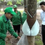 Phữi - Thanh niên tiên tiến làm theo lời Bác