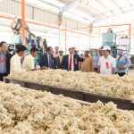 Các công ty cao su khu vực Campuchia đang trong đà tăng trưởng