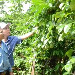 Thay đổi nếp nghĩ, cách làm kinh tế cho bà con vùng biên