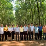 Cụm thi đua số 2 Ủy ban quản lý vốn Nhà nước tại doanh nghiệp sơ kết công tác thi đua khen thưởng tạ...