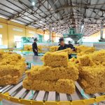 Chậm hoàn thuế giá trị giá tăng cao su thiên nhiên xuất khẩu và những vấn đề liên quan