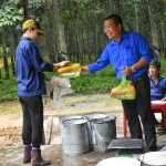 Tuổi trẻ Nông trường Minh Hòa, Cao su Dầu Tiếng sôi nổi tiếp sức công nhân mùa thi đua nước rút