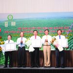 Tiên phong thực hiện chứng chỉ rừng bền vững