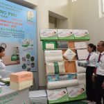 Nệm Đồng Phú chất lượng châu Âu dành cho người Việt