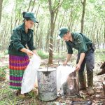Cao su Bà Rịa: nhiều giải pháp thu hút, giữ chân người lao động
