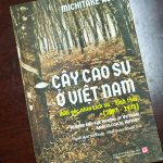 Cây cao su ở Việt Nam dưới góc nhìn lịch sử - sinh thái (1897 - 1975)