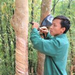 “Chủ động, linh hoạt, đồng lòng phấn đấu hoàn thành kế hoạch được giao”