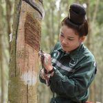 Phụ nữ ngành cao su phấn đấu hoàn thành sứ mệnh trong thời đại mới