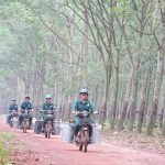 Cao su Dầu Tiếng góp phần cùng địa phương xây dựng nông thôn mới