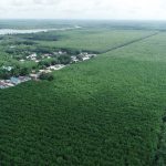 Tăng trưởng xanh - Chìa khóa để phát triển bền vững