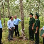 Nông trường An Biên (Cao su Chư Prông): Vững vàng nơi vùng biên