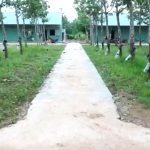 Bản tin Chuyên đề số 7