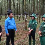 Cao su Chư Păh: Tạo giá trị bền vững từ công tác chăm lo đời sống người lao động