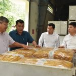 Các công ty cao su tại Lào: Có chiều hướng tăng trưởng tốt và ổn định