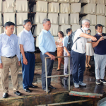 Cao su Bình Long: Vững niềm tin - xây khát vọng